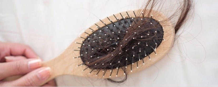 Hair in Hair Brush