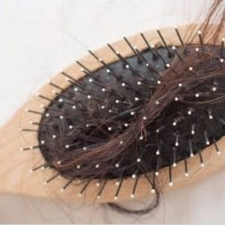 Hair in Hair Brush